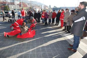 AED PRED HOFERJEM 12 FOTO LJUBO VUKELIČ